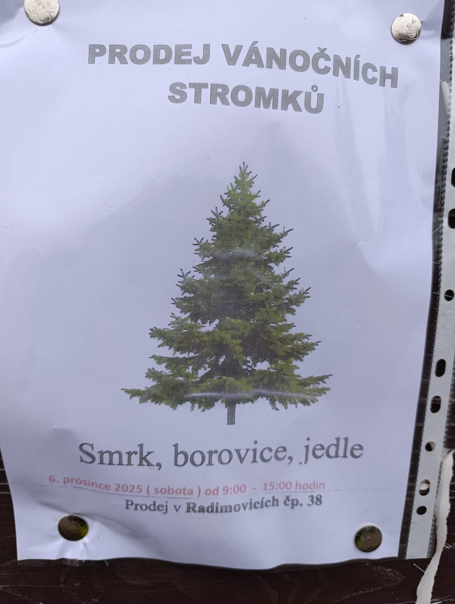 Leták: prodej vánočních stromků (smrk, borovice, jedle), sobota 6. 12. 2025 9–15 h, Radimovice čp. 38