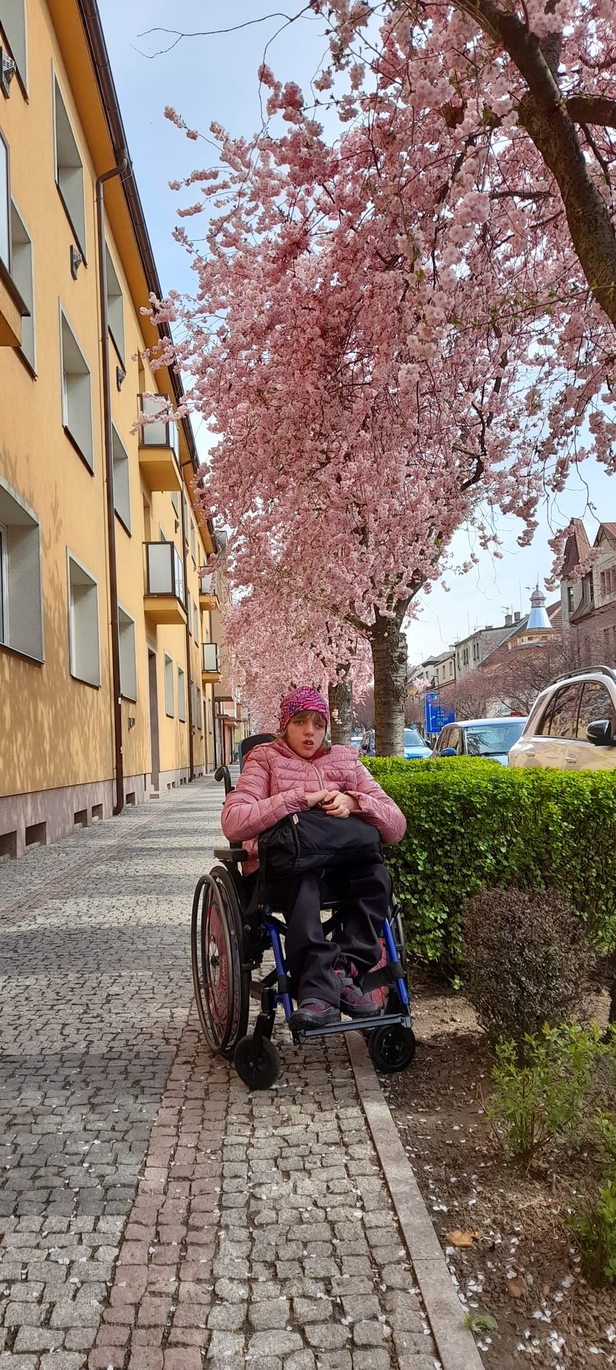 Terezka na vozíku pod rozkvetlou sakurou